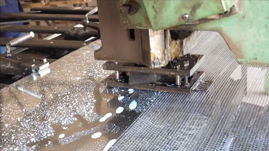Customized Stainless Steel Perforated Metal for Construction and Decoration 